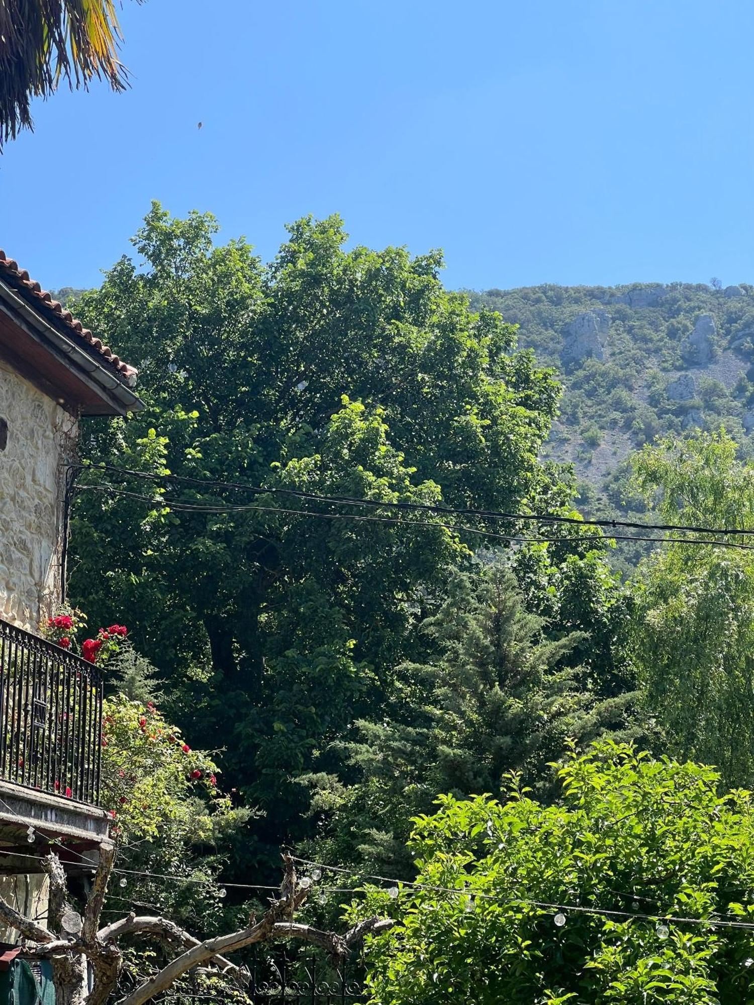 Palacio De Los Alvarado En Las Merindades El Ribero Bagian luar foto