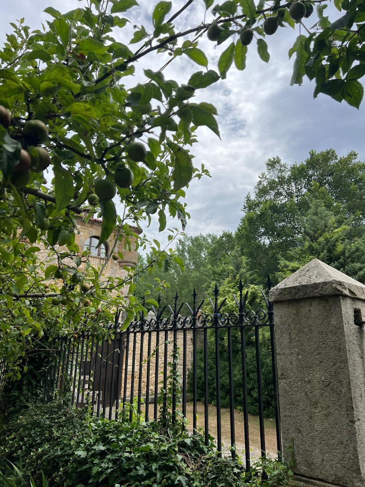 Palacio De Los Alvarado En Las Merindades El Ribero Bagian luar foto
