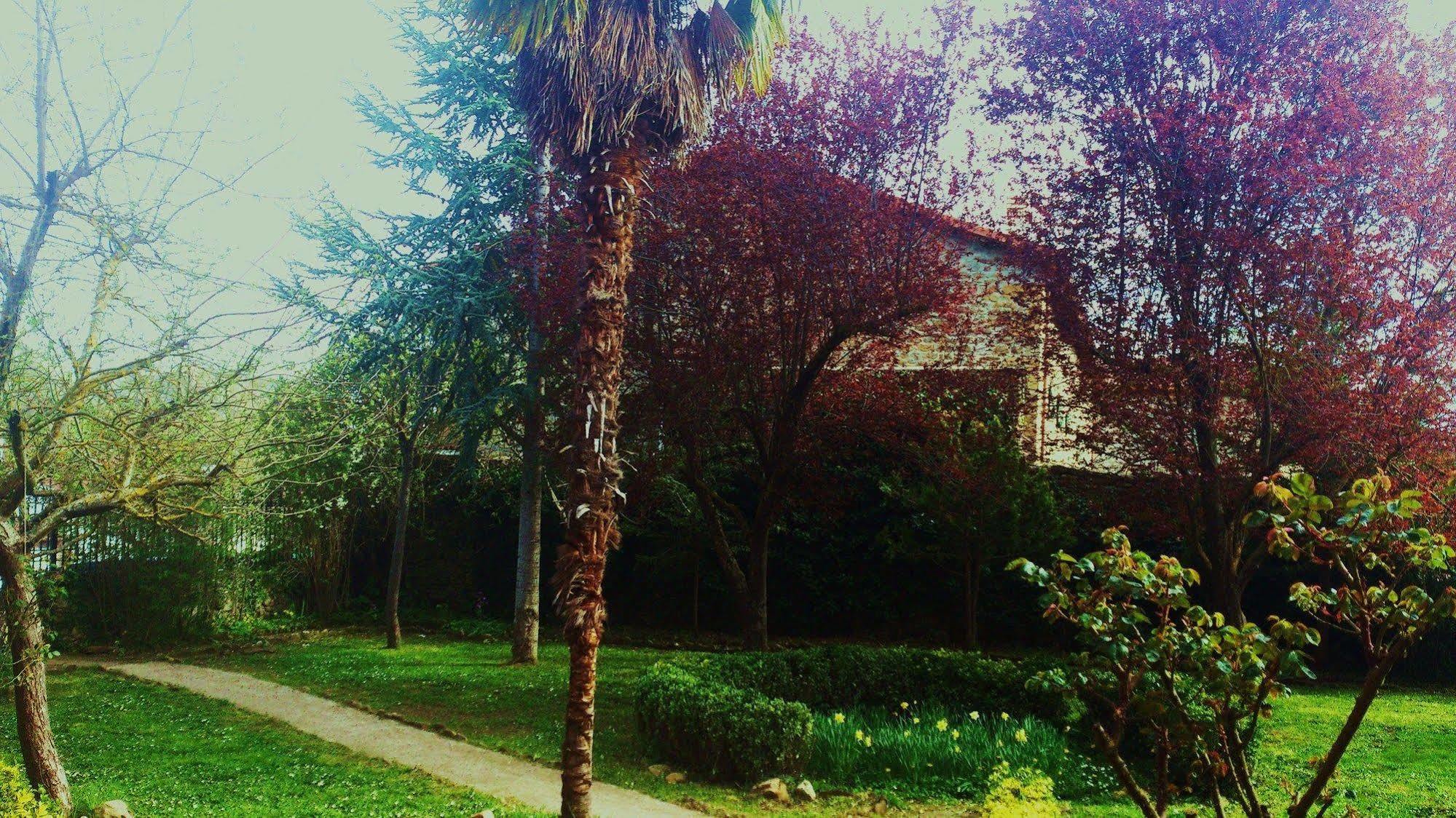 Palacio De Los Alvarado En Las Merindades El Ribero Bagian luar foto